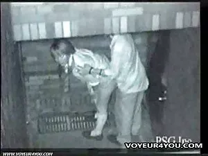 Adoração das melhor  ...
