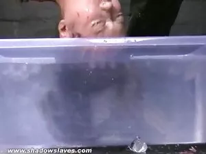 A verdadeira Morena  ...